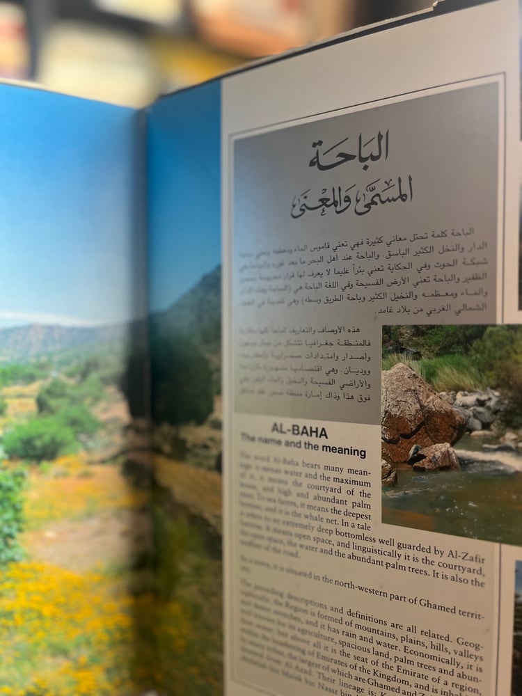الباحة "أحمد السياري"