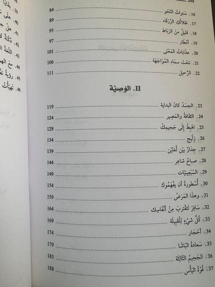 شطحات لمنتصف النهار "محمد بنيس"