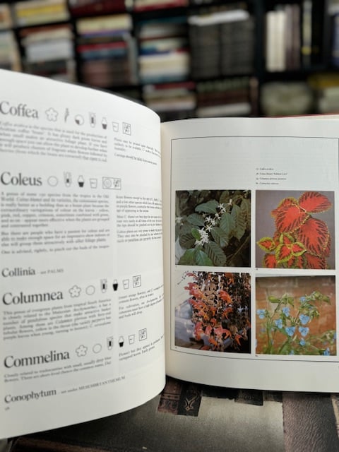 The ABC of indoor Plants