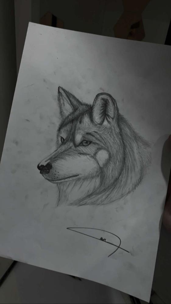رسمه النمر