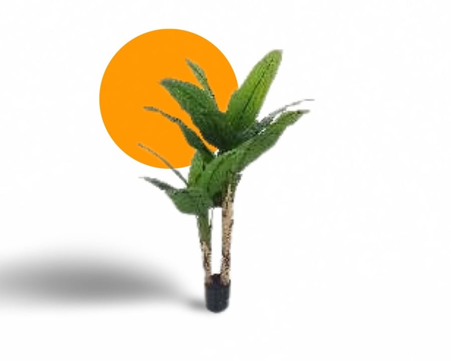 شجر زينة