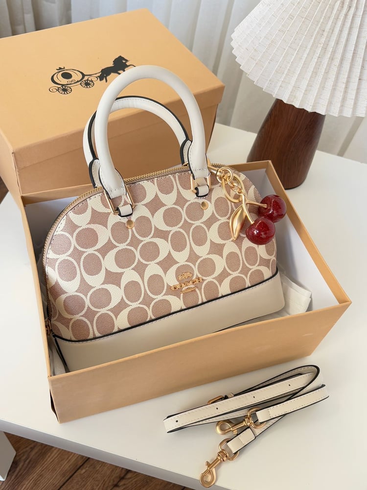 Coach brand bag
