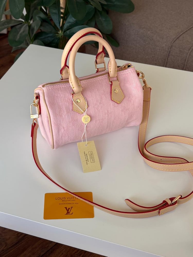 Louis Vuitton brand bag