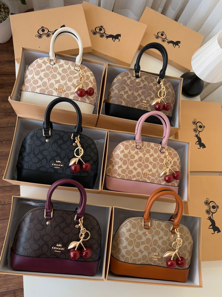 Coach brand bag