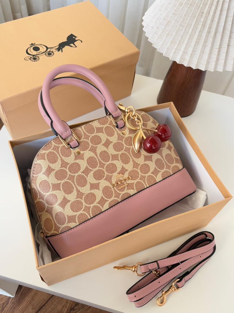 Coach brand bag