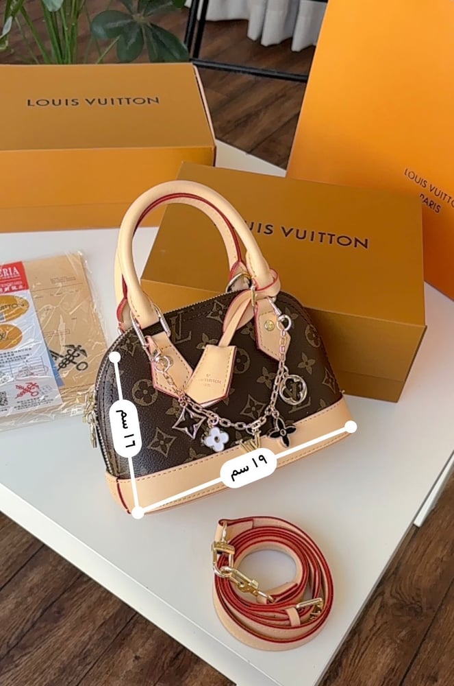 Louis Vuitton brand bag