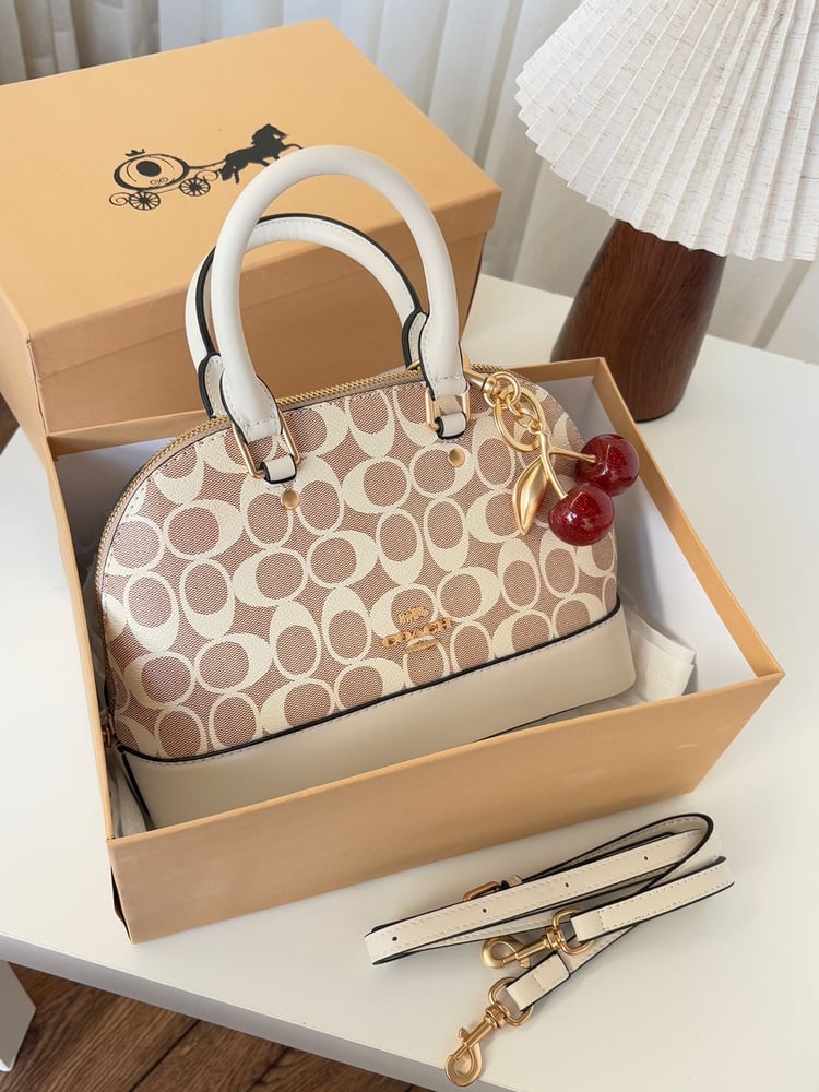 Coach brand bag