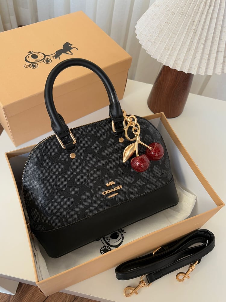 Coach brand bag