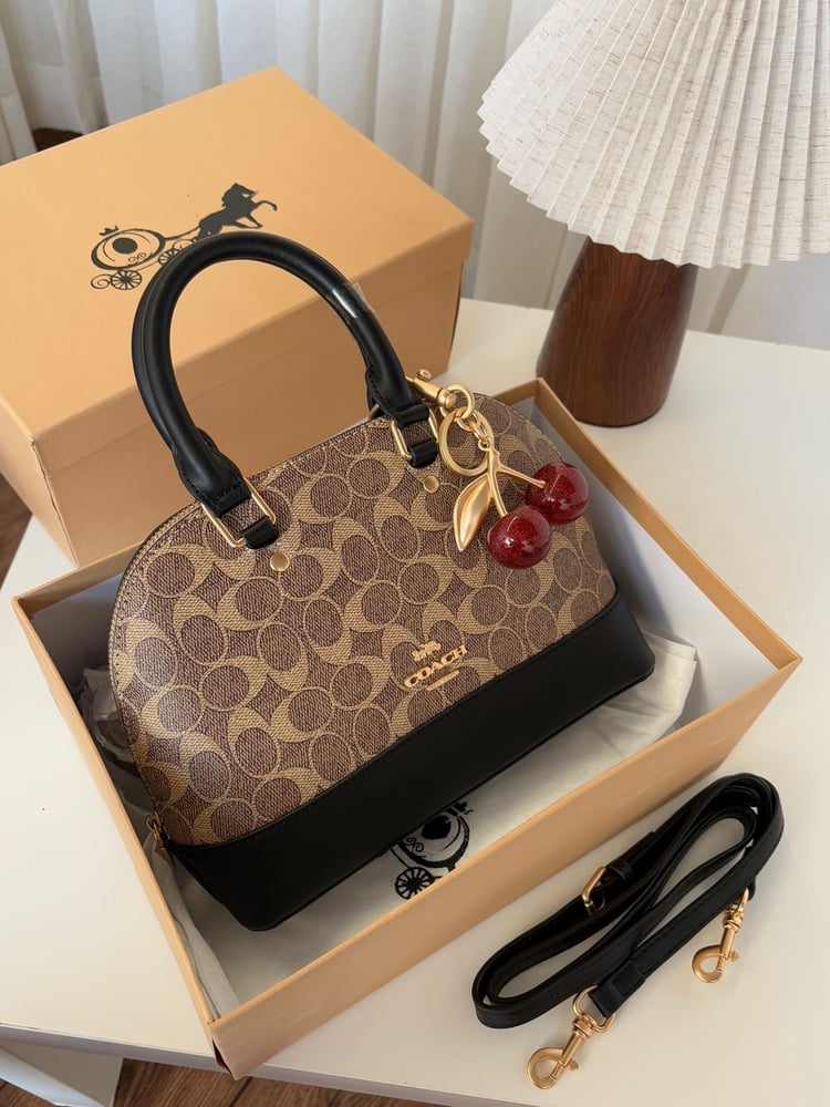 Coach brand bag