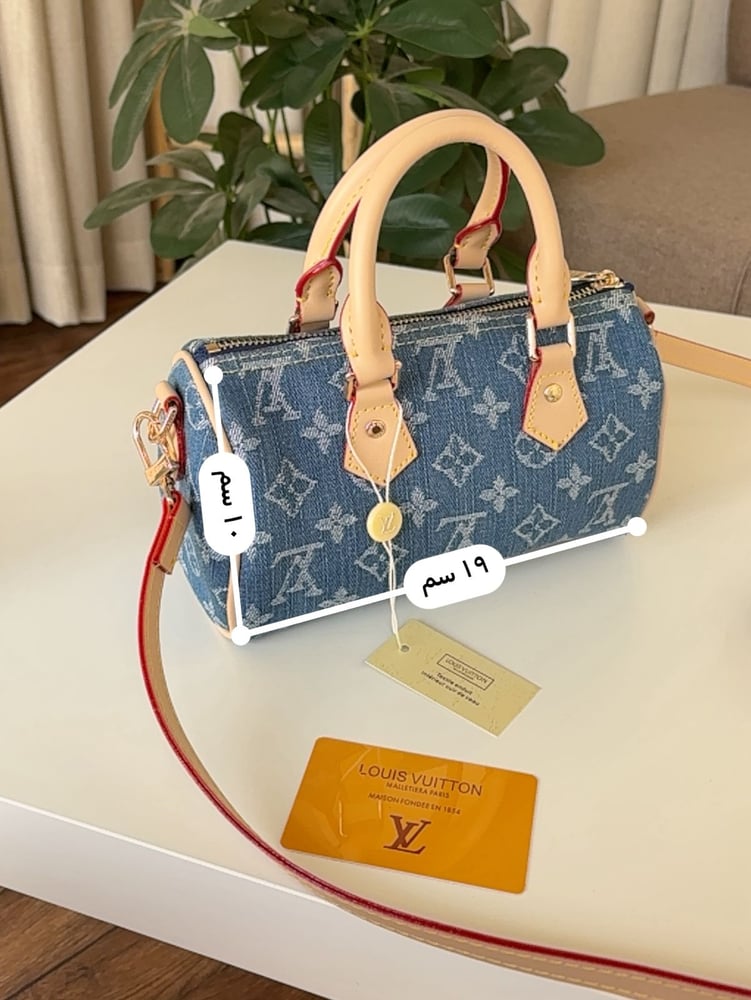 Louis Vuitton brand bag