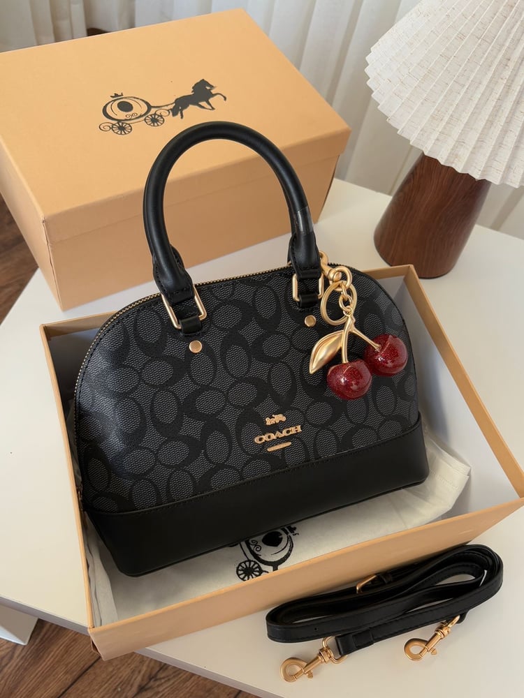 Coach brand bag