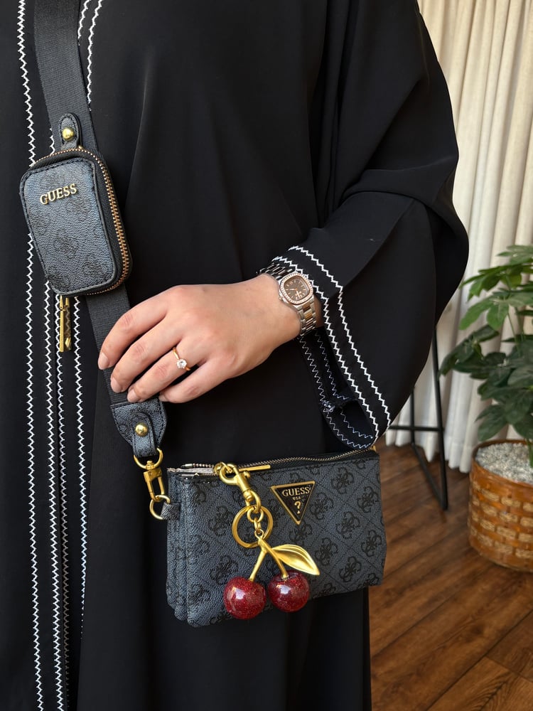 شنطه ماركه جيس