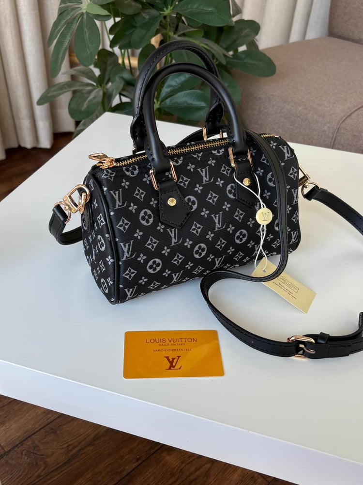 Louis Vuitton brand bag