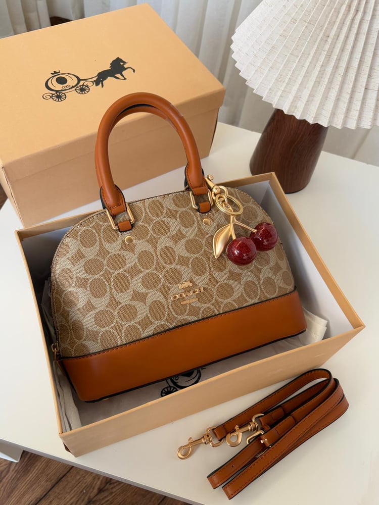 Coach brand bag