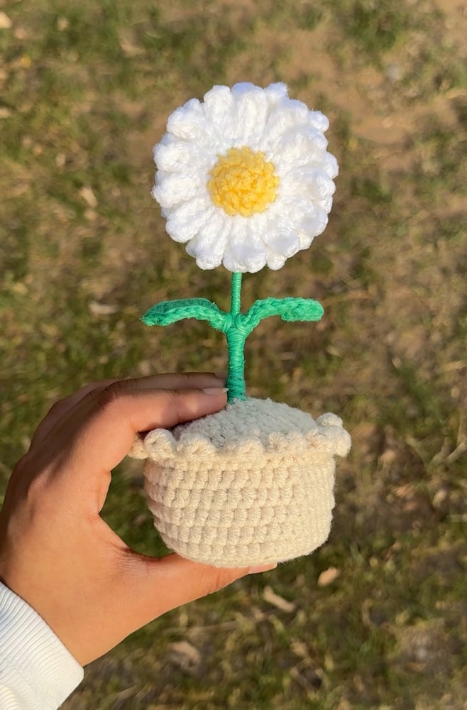 ورده