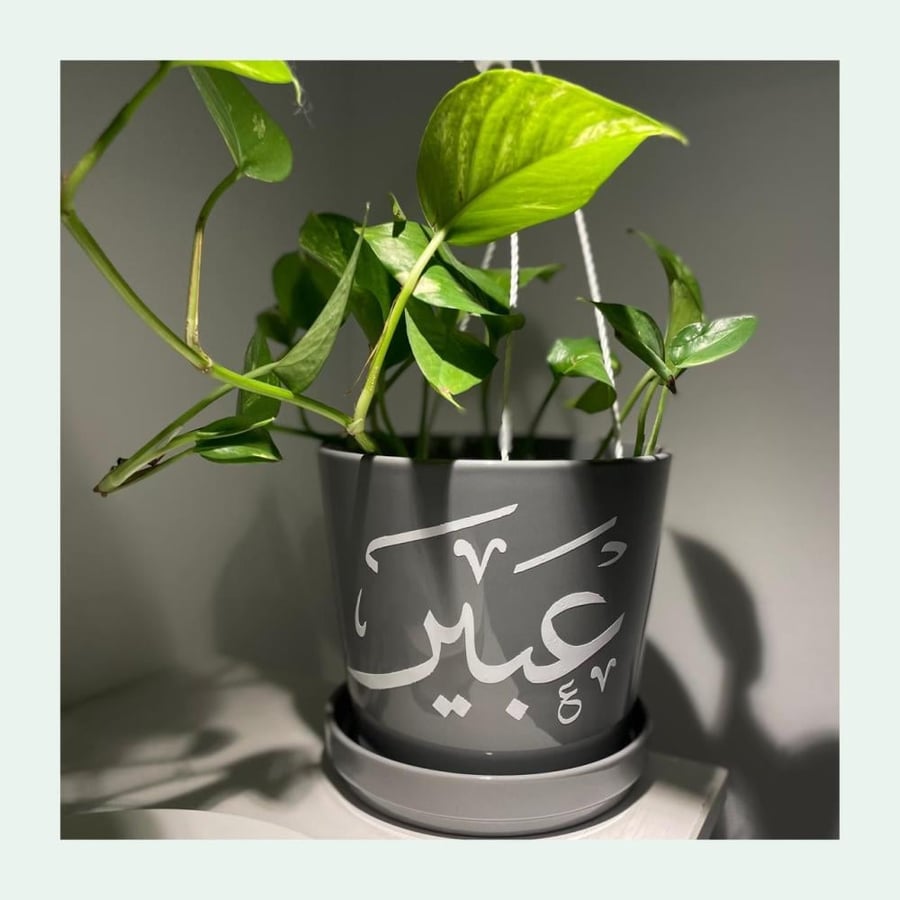 اصيص نبات بالاسم