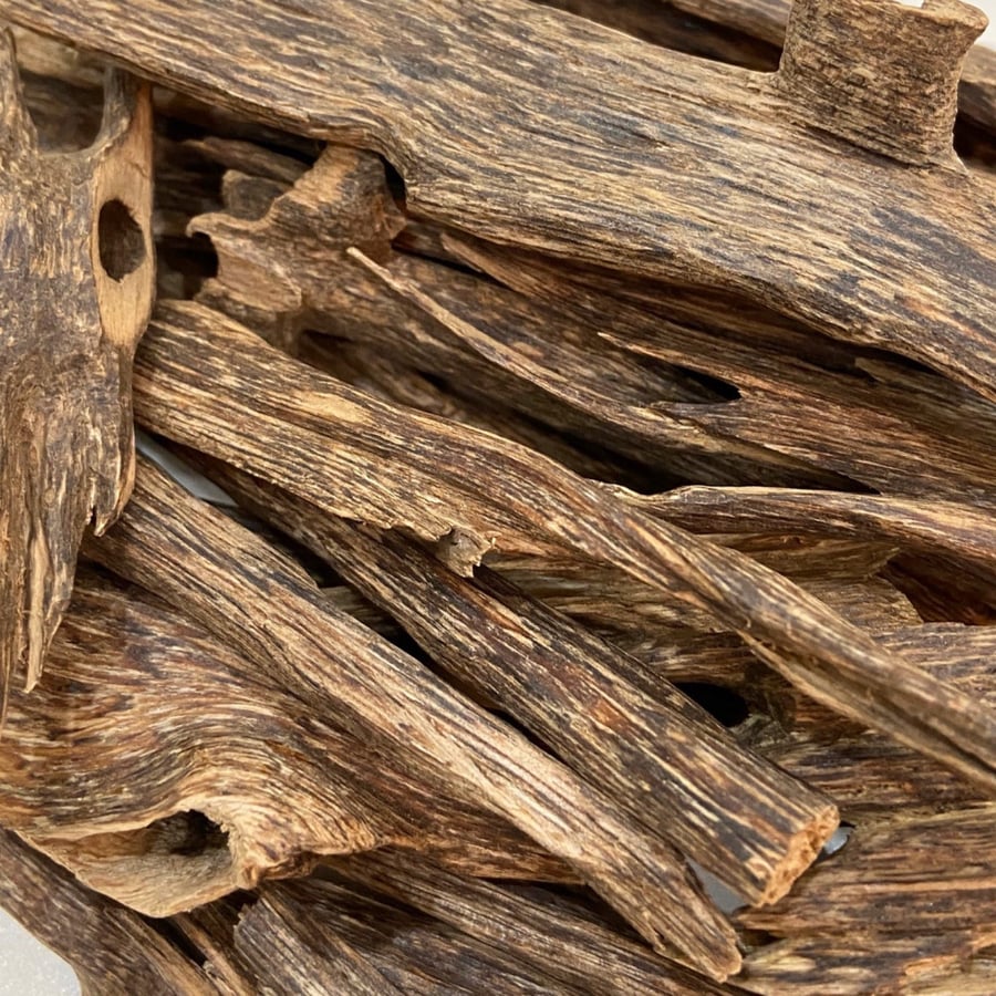 Indian oud Assam natural