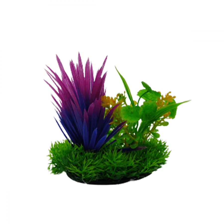 Decorative plants for the fish tank