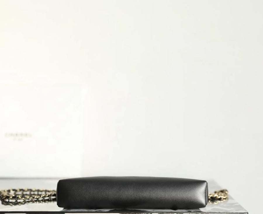Chanel nano size