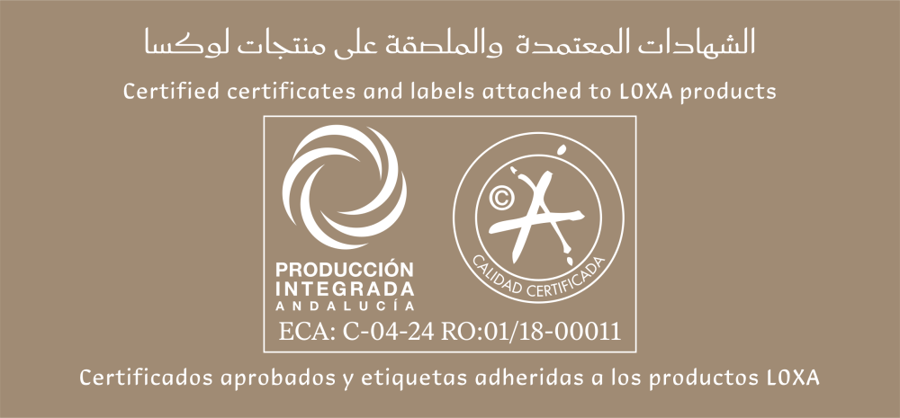 Loxa Olive Oil Gallon 5L (Cooking)