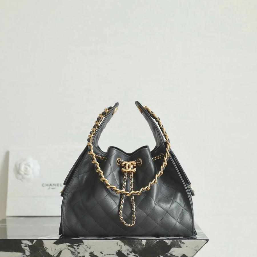 Chanel bag 25cm
