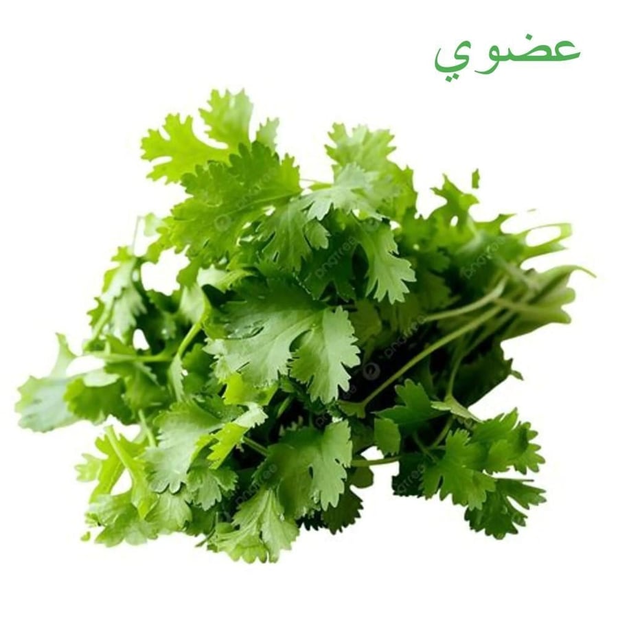 مزرعة السلوى - كزبرة عضوية