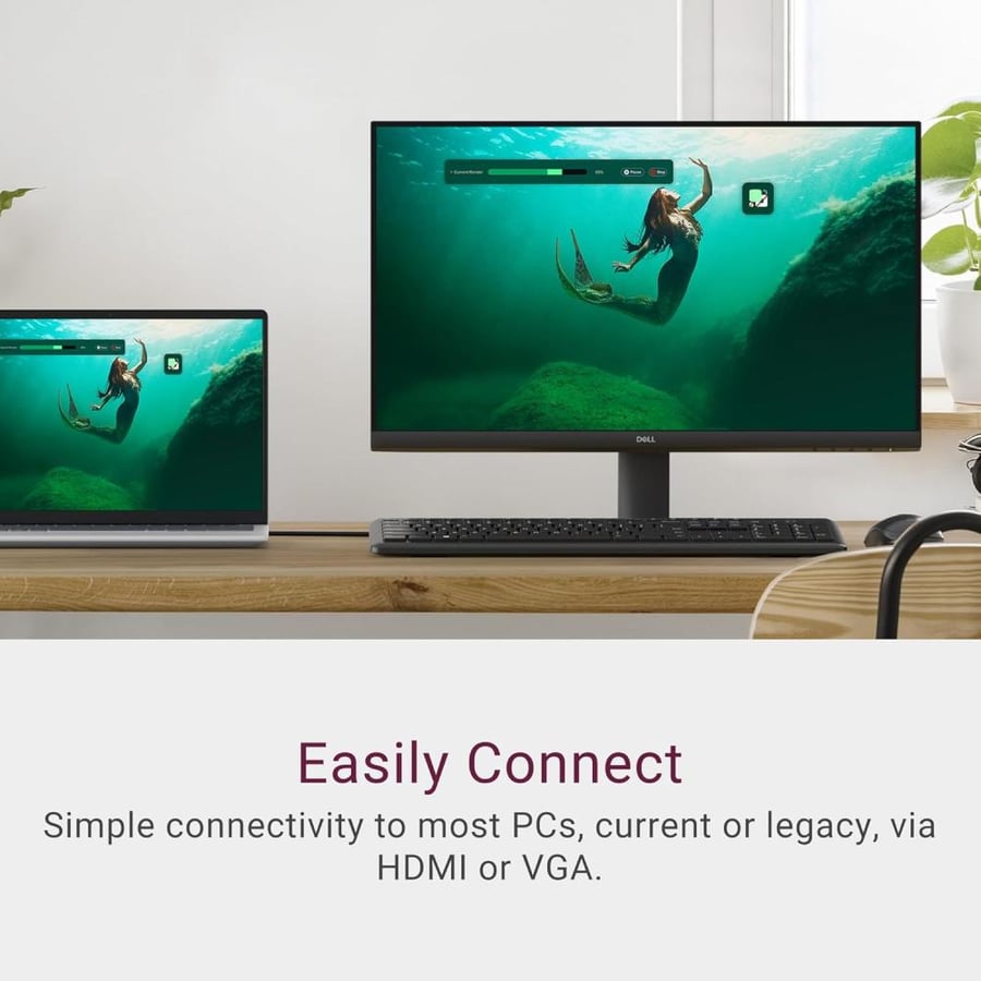 Dell SE2425HM 23.8-inch IPS Monitor – FHD, 100Hz, Eye Comfort
