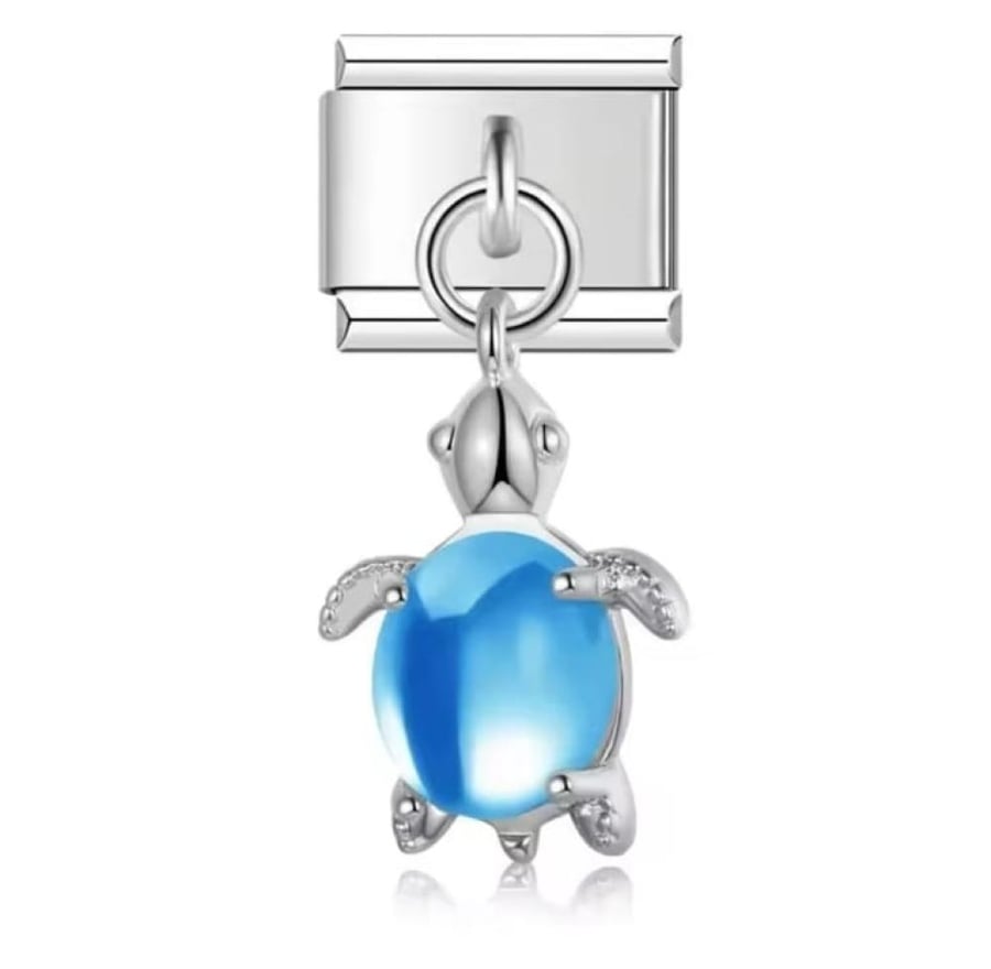 Charm silver with turtle pendant available in multiple colors