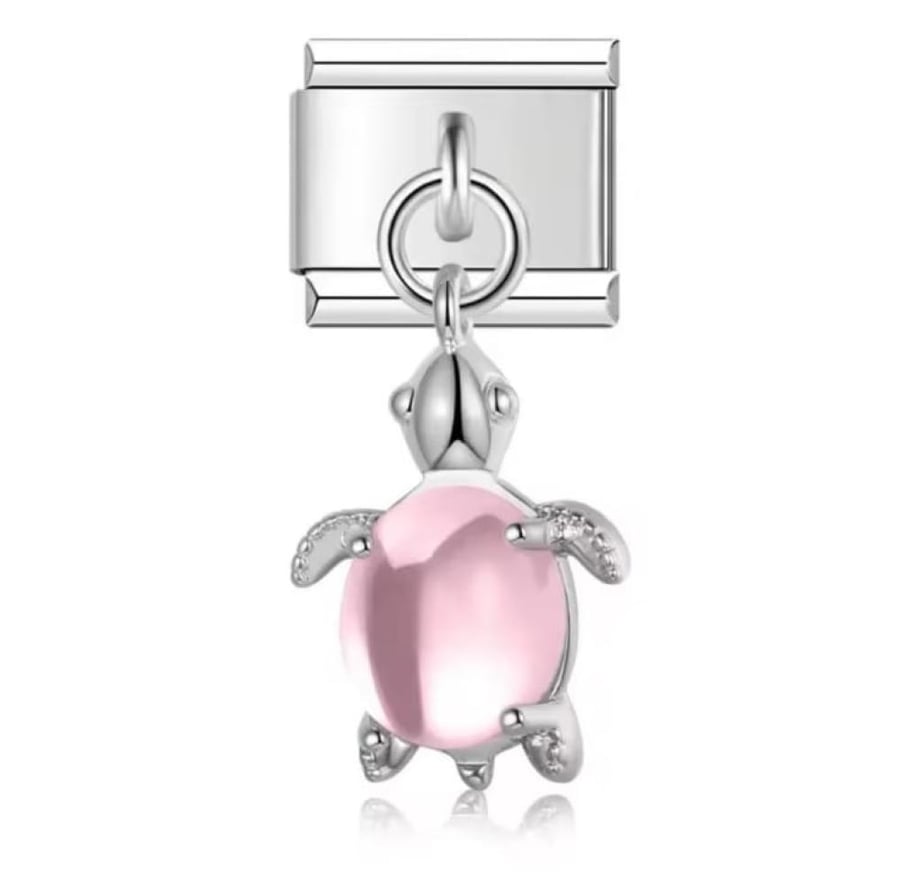 Charm silver with turtle pendant available in multiple colors
