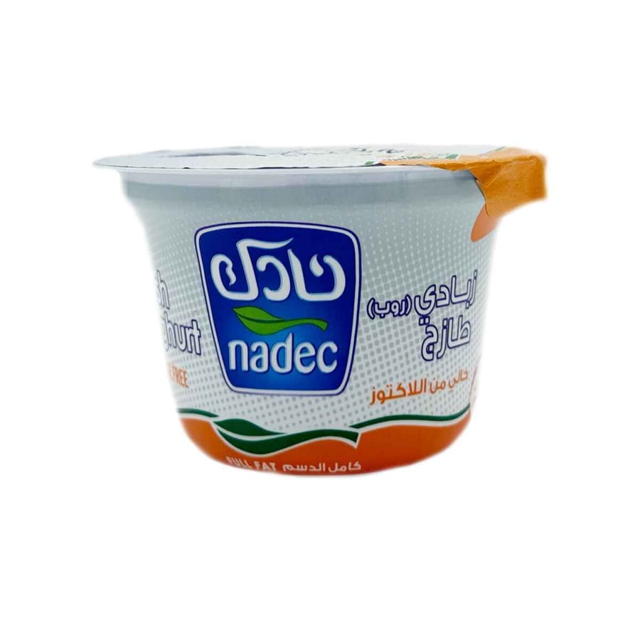 نادك زبادي كامل الدسم بدون لاكتوز 160غ