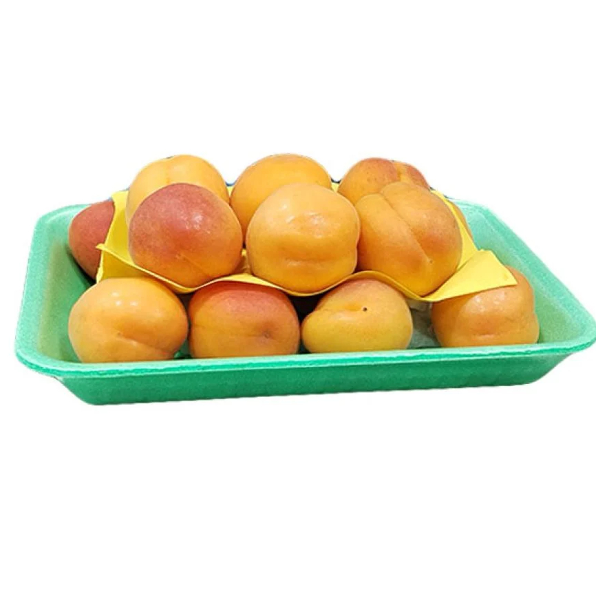 مشمش علب