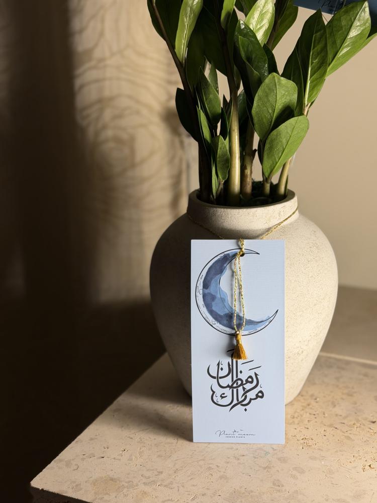 حوض نباتي فخار زاميا