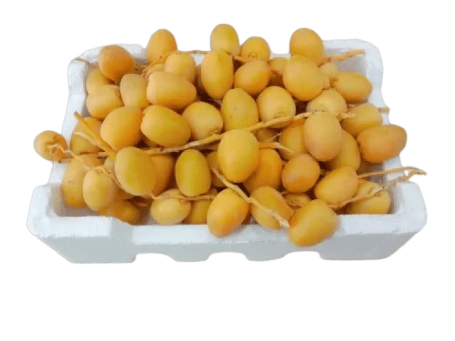 تمر برحي صغير
