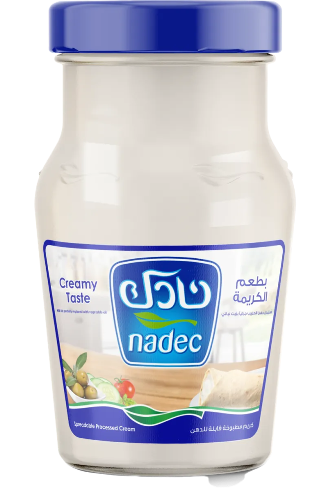 Nadec cream cheese 240 grams