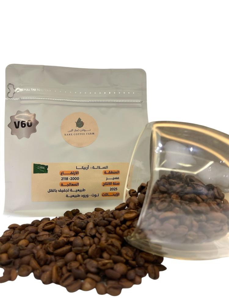 (V60( g250