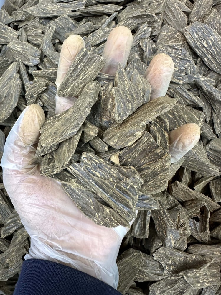 كلمنتان زاما