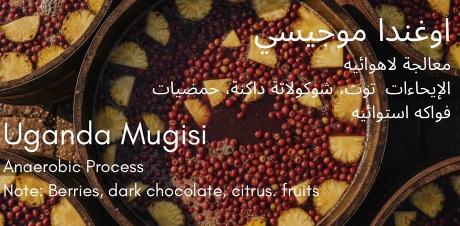 اوغاندا موجيسي