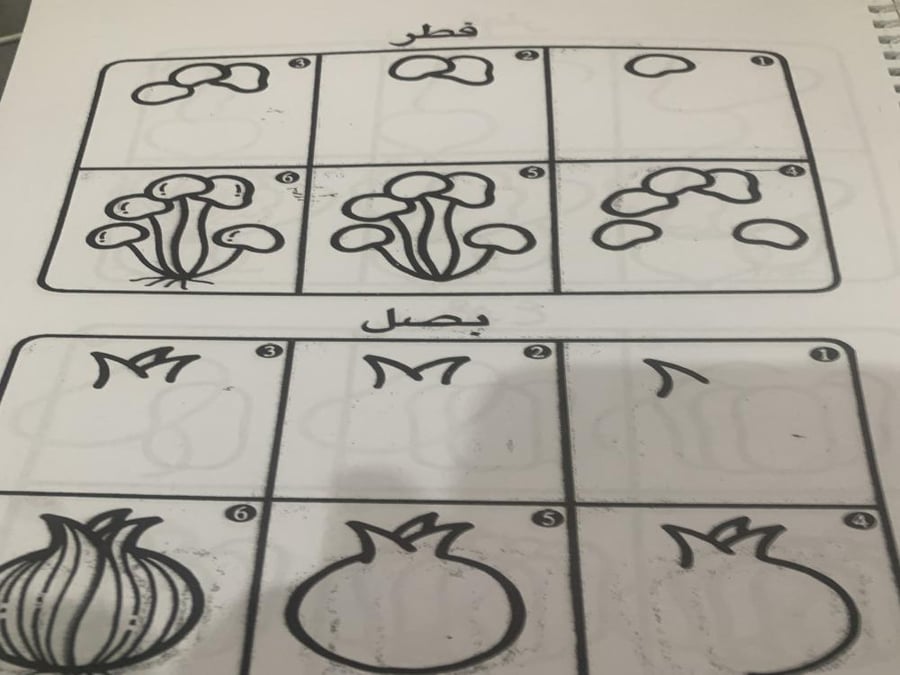 تعلم الرسم خطوة .. خطوة
