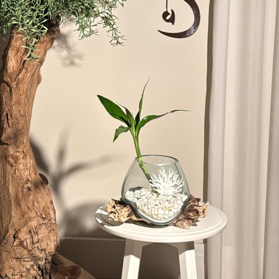خشب طبيعي ١٠٠٪ ( 6 )