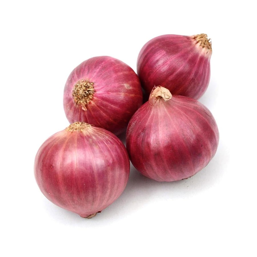 بصل احمر
