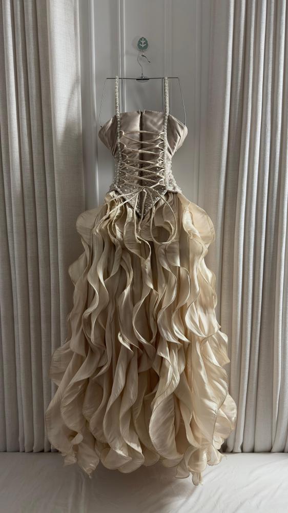 Elsa's dress