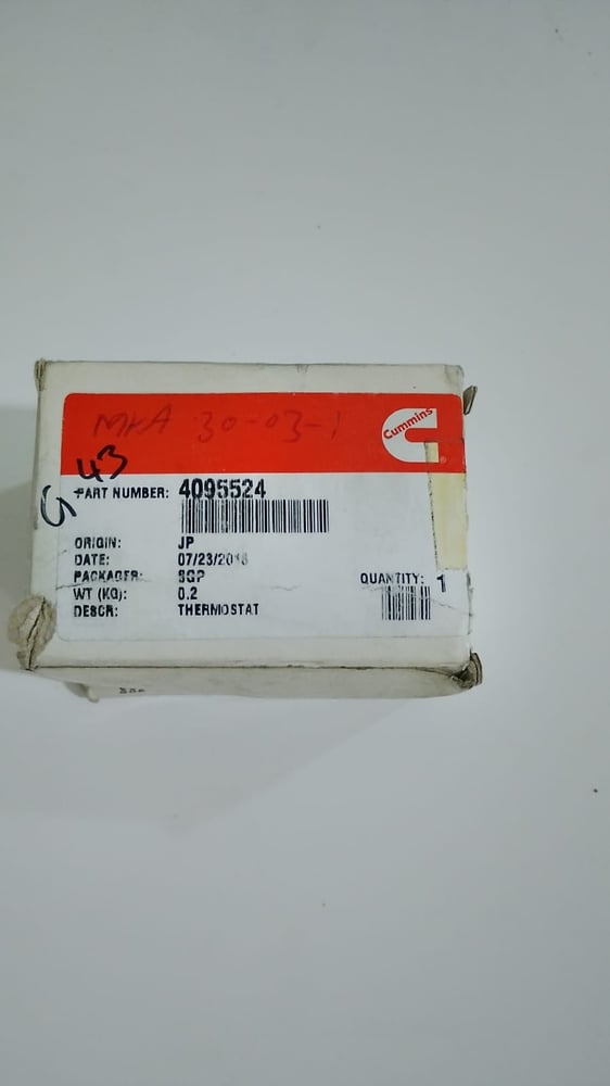 Thermostat  4095524