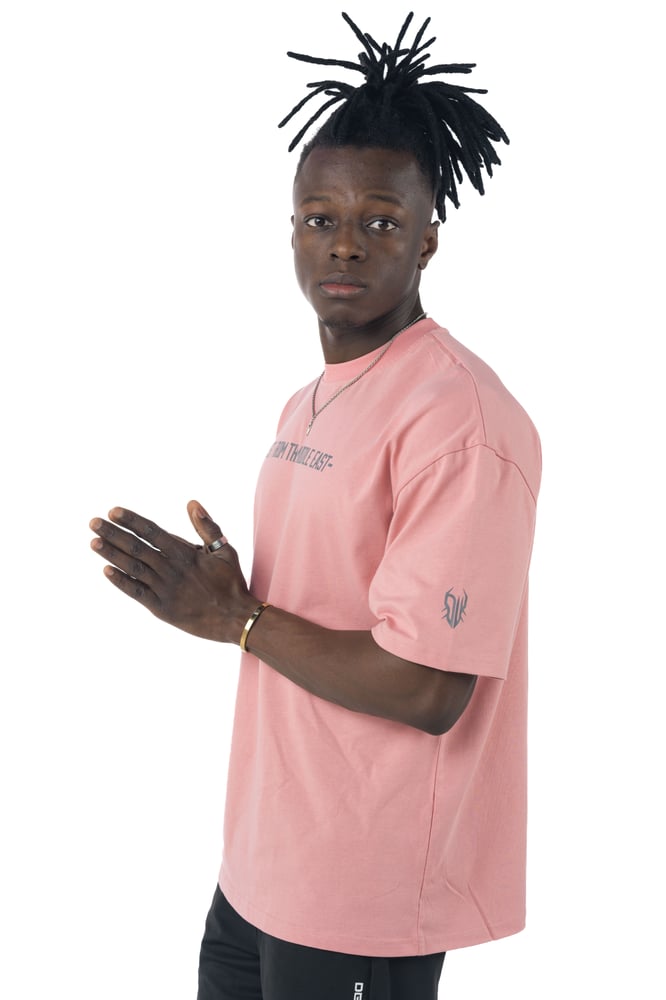 DW Oversized T-Shirt with chest BFME print in Salmon Pink