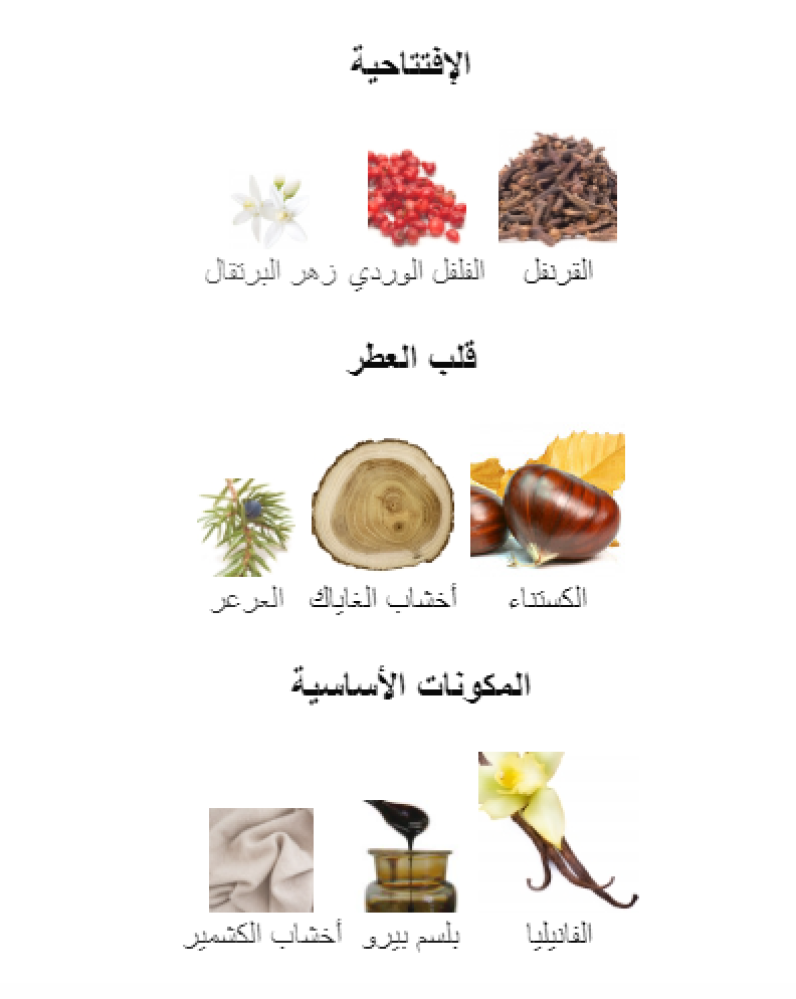 عطر ميزون مارجيلا ريبليكا باي ذا فايربليس او دي تواليت - 100مل