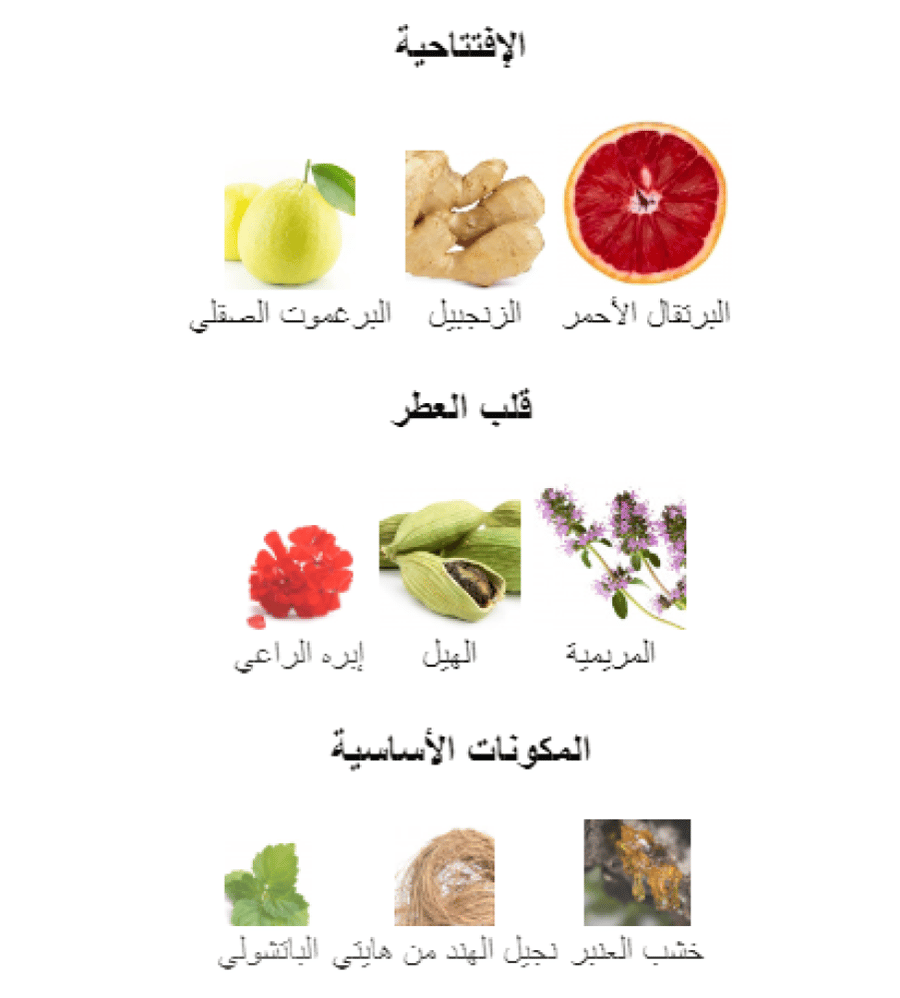عطر دولتشي غابانا ذا ون قولد الرجالي او دو بارفيوم انتنس 100مل