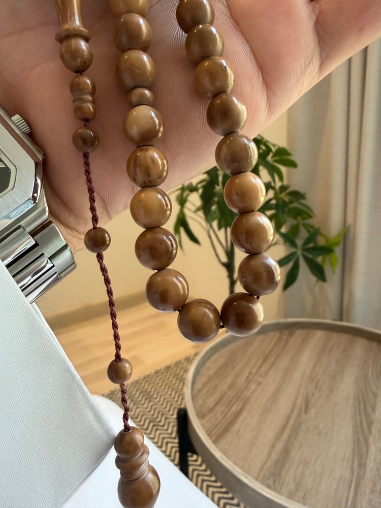 مسباح كوك طبيعي