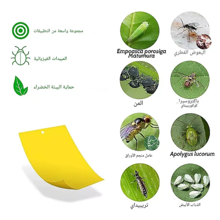 ورق لاصق مصيدة الحشرات ناموسية عدد 1