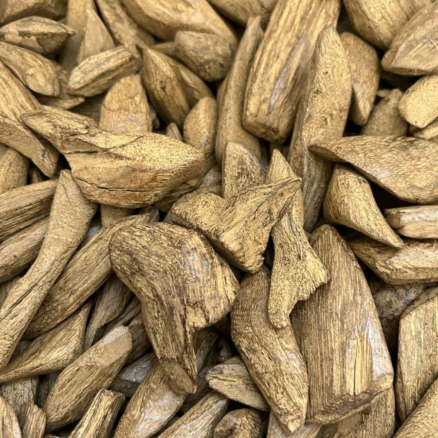 مروكي الشيوخ