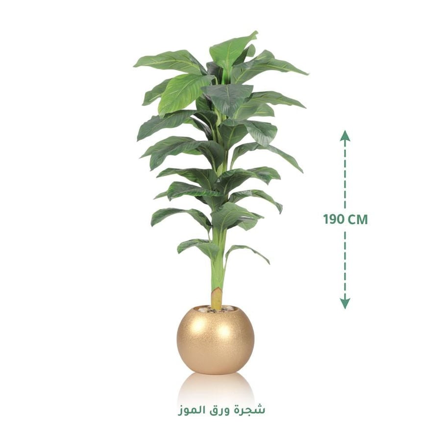 مركن زرع ذهبي