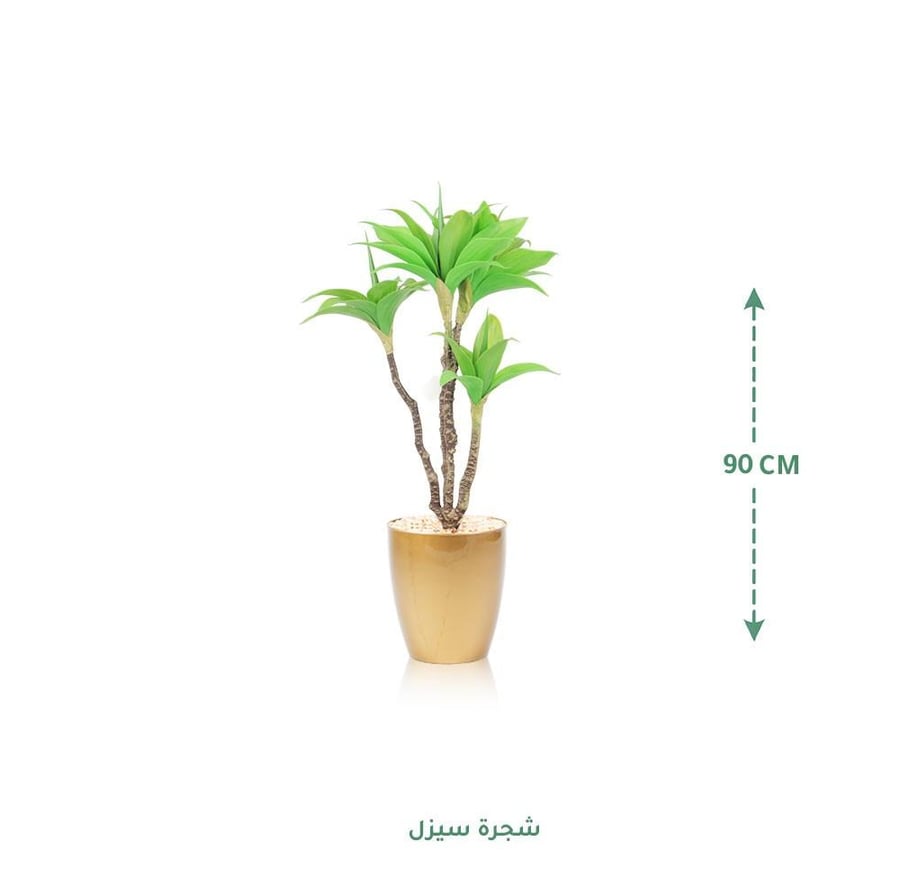 مركن زرع ذهبي